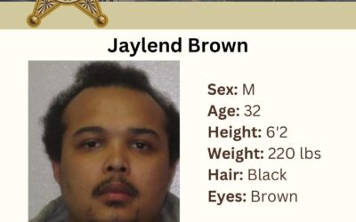 Jaylend Brown